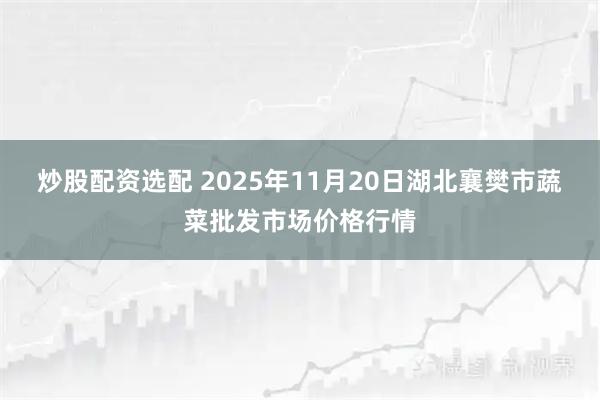 炒股配资选配 2025年11月20日湖北襄樊市蔬菜批发市场价格行情
