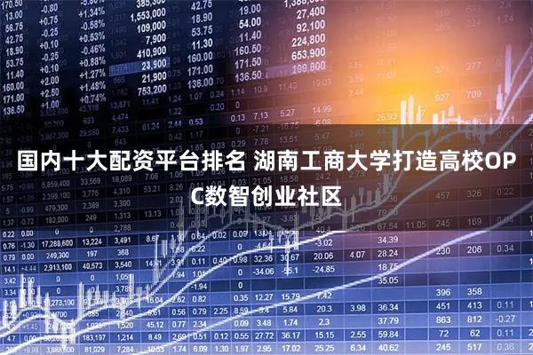 国内十大配资平台排名 湖南工商大学打造高校OPC数智创业社区