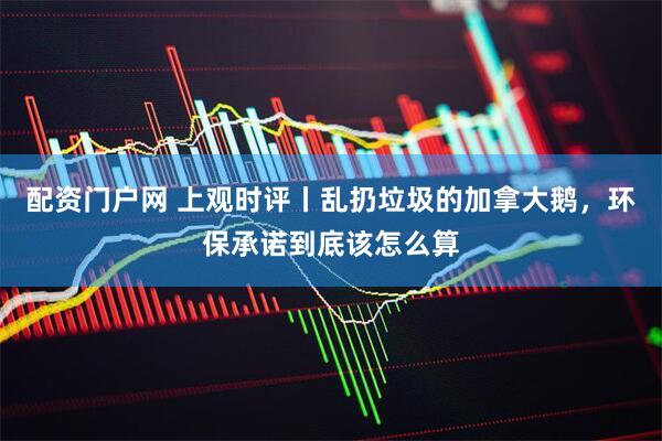 配资门户网 上观时评丨乱扔垃圾的加拿大鹅，环保承诺到底该怎么算